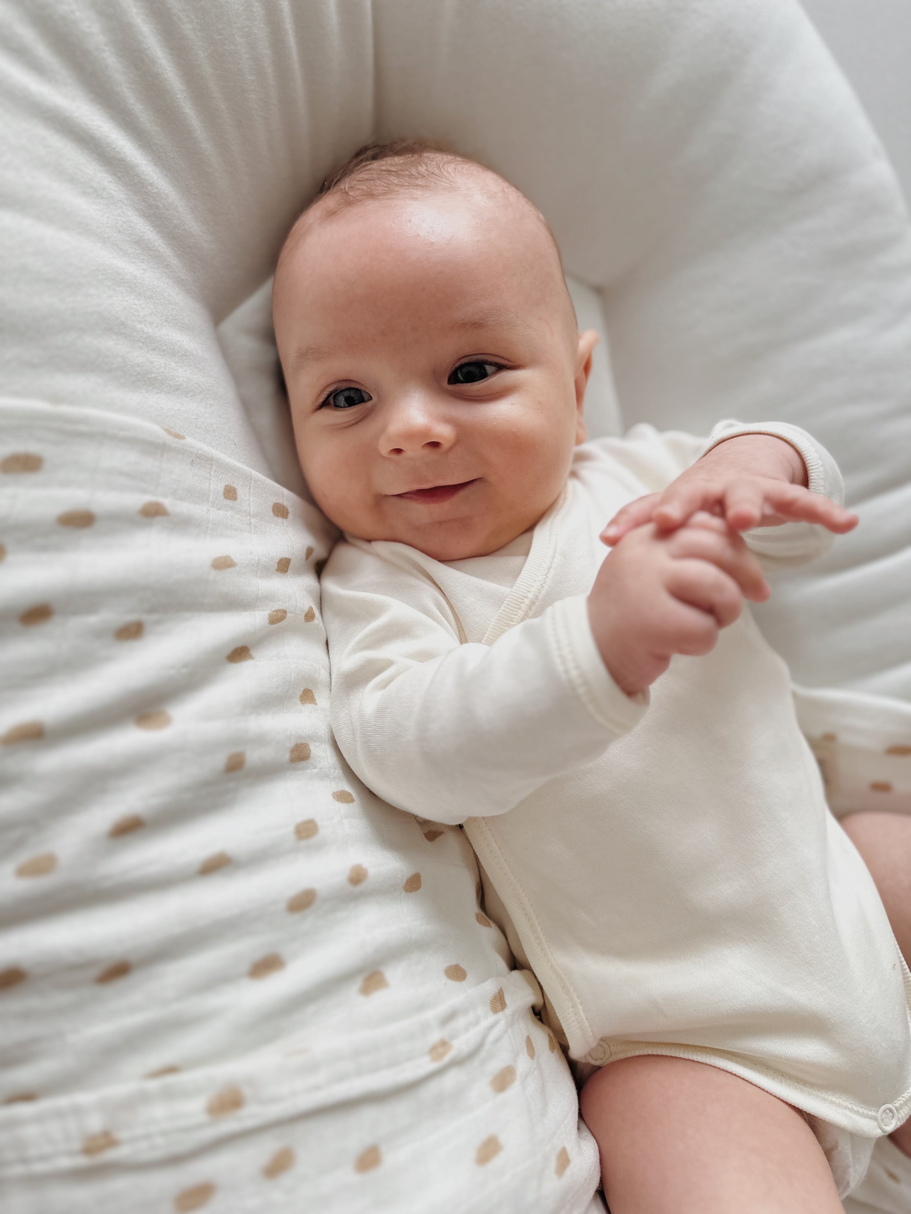 Newborn Premium Oat