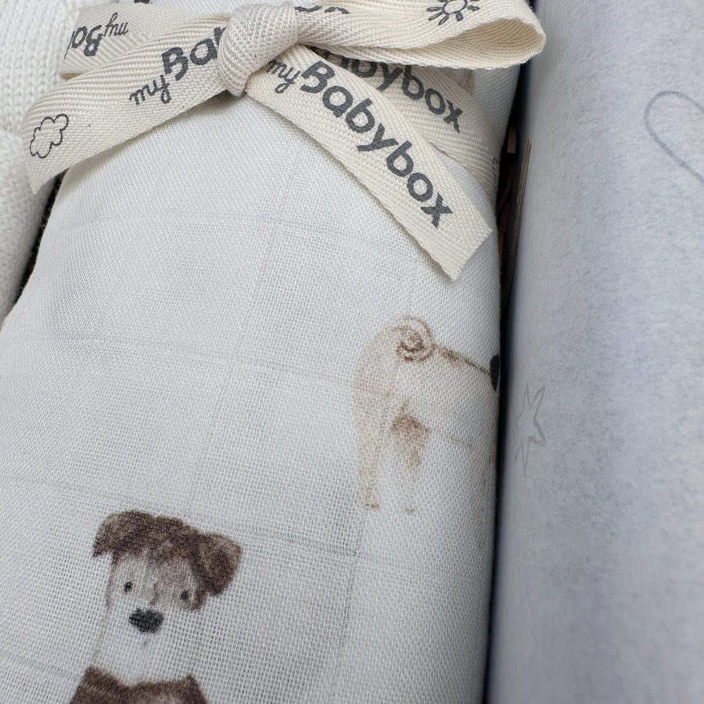 Swaddle Dog Lovers