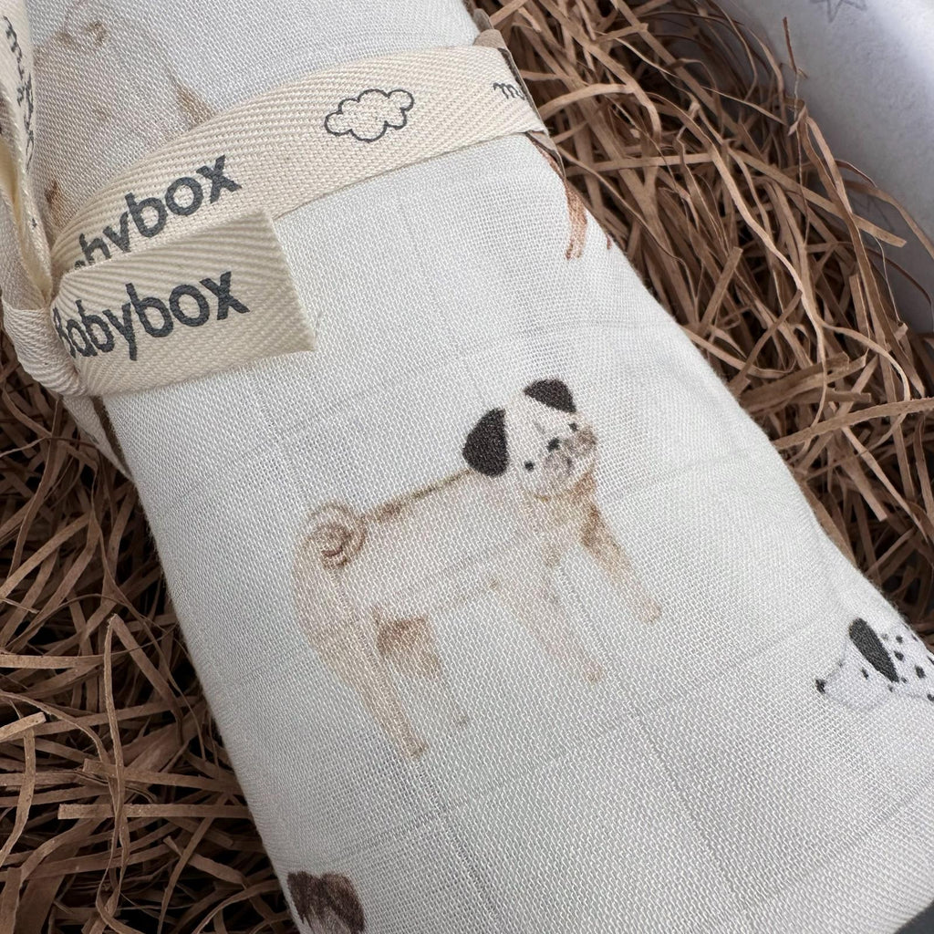 Swaddle Dog Lovers